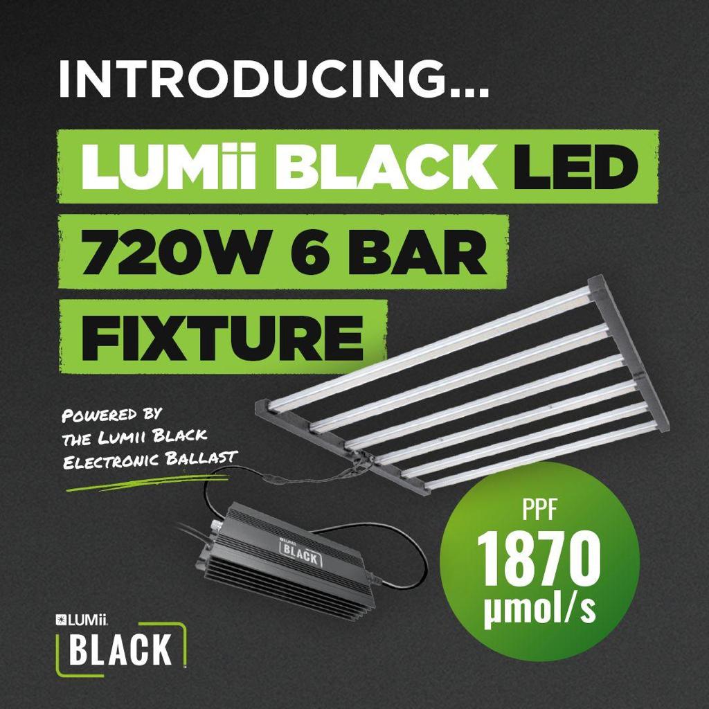 The LUMii Black LED light is a 720W 6 bar fixture