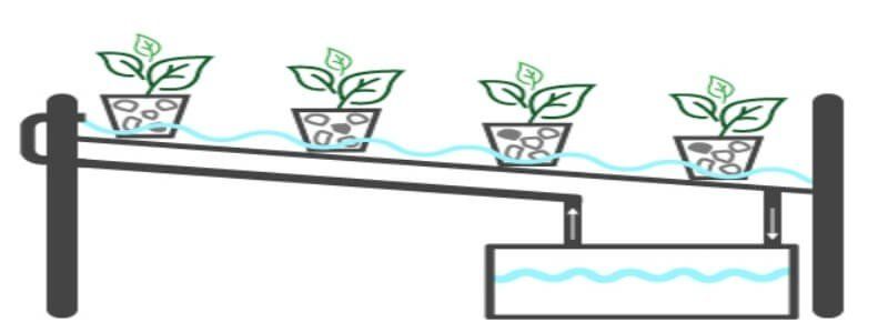 The NFT nutrient film technique that pumps nutrients into a gully and the plant roots d