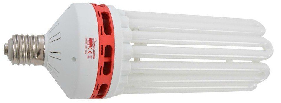 Compact fluorescent lamps are efficient and durable for indoor hydroponic plant growth