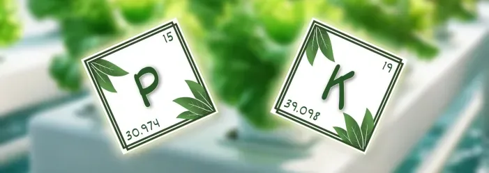 Ratio of P:K — usually bloom boosters are somewhere between 1:1 up to 1:2 or even more K-heavy (depending on the plant & stage).