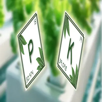 Ratio of P:K — usually bloom boosters are somewhere between 1:1 up to 1:2 or even more K-heavy (depe