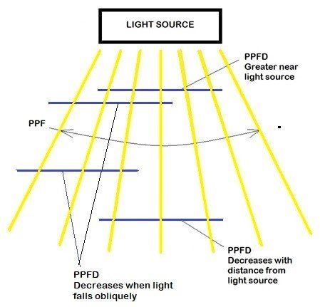 PPFD photosynthesis photon flex data measures the amount of PAR photosynthetically active radiation that is available per square metre