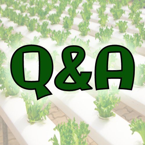 The Q&A on various hydroponic growth methods such as grow tents, lighting and heating