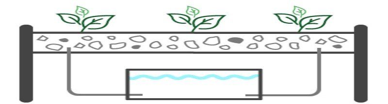 Plant roots are in the growing medium and wicks draw the nutrients from the reservoir tank