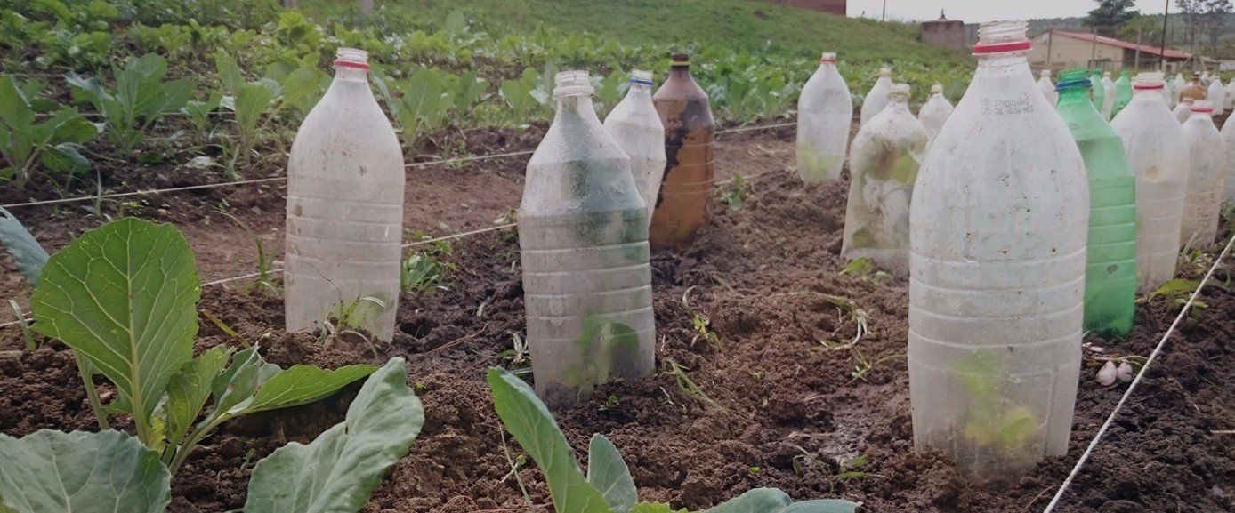 This farming project demonstrates that anybody can grow their own vegetables all across the world and by supporting the Mabhalane Foundation (MMF) in South Africa they are making this happen.