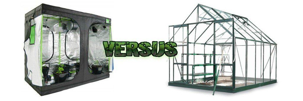 Grow Tents Versus Greenhouses