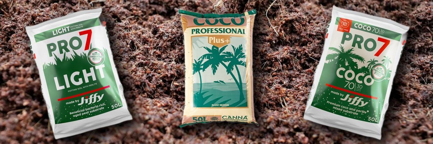 Coco products are ideal for the roots of indoor plant growth