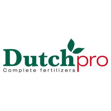 dutch pro logo