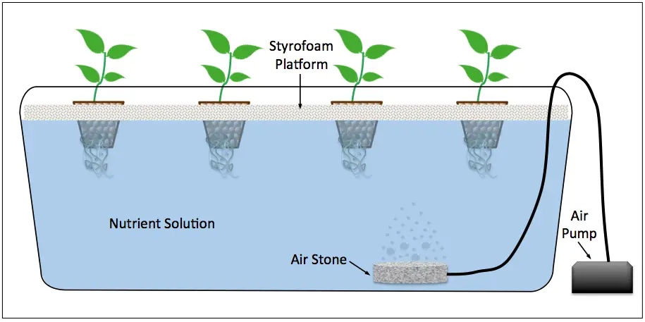 A diagram of a deep water culture DWC hydroponic system for efficient plant growth