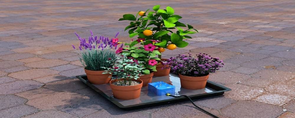 The Easy to Go kit that transfers water and nutrients from your reservoir to your growing plants