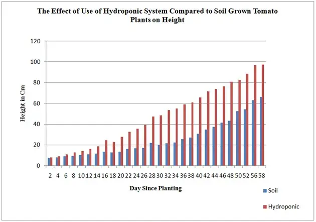 The height of hydroponically and soil grown tomato plants A graph that shows the advantages of growing plants with hydroponic systems