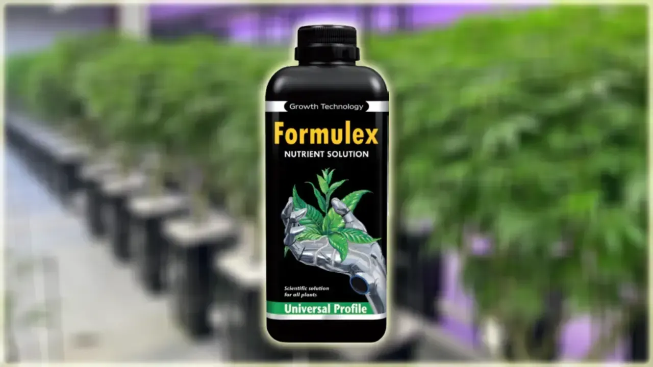 Formulex can be used as a general 'pick me up' and growth promoter for plants but especially seedlings and young plants. This is a universal hard and soft water formulation.