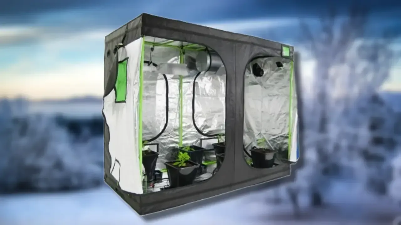 Some handy tips to help your grow tent from getting too cold