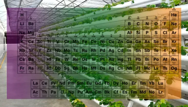 Plants need nitrogen, phosphorus, potassium, boron, copper and many more elements for great hydroponic growth and bloom