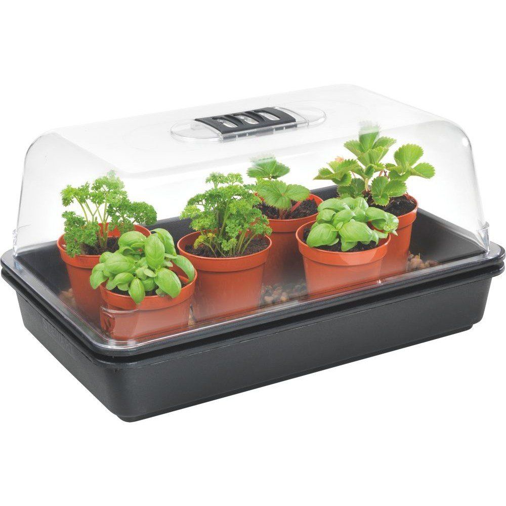 Plant propagation for Hydroponics can be done using seedlings or cuttings and should have optimal temperature and humidity conditions