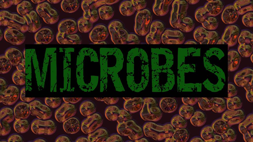 This microorganisms consortium has great benefits for the plant rhizosphere, increasing the useful surface of the roots. This translates to a higer and better absorption of nitrogen, phosphorus, potassium, and micro nutrients during all the development stages of the plant. Moreover, the chosen microorganisms are great promoters of phytohormones, like indole-3-acetic acid and gibberellins.