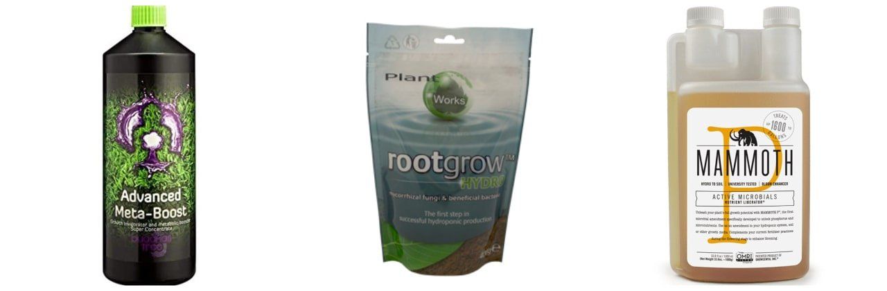 micronutrients that can eliminate worms and parasites from the soil where plants grow