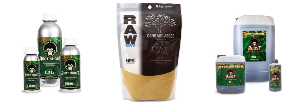 Molasses are sugar nutrients that provide energy for the growth of plants