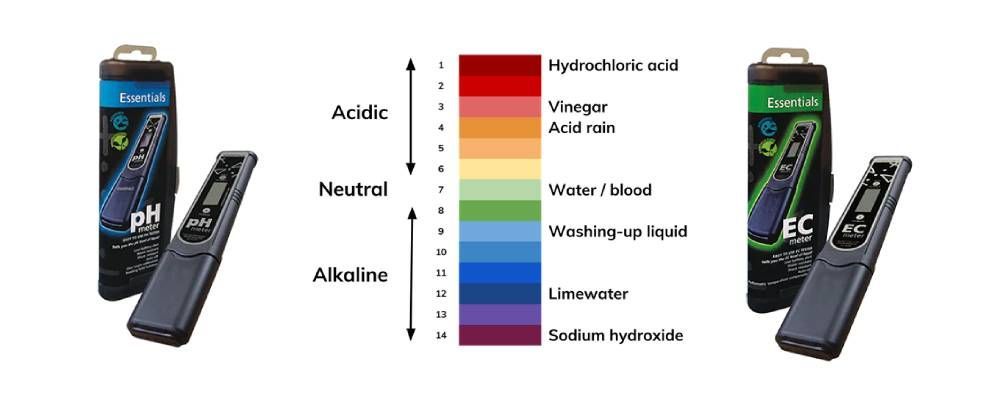 The pH and EC levels in your nutrient solution are essential to monitor for your planta