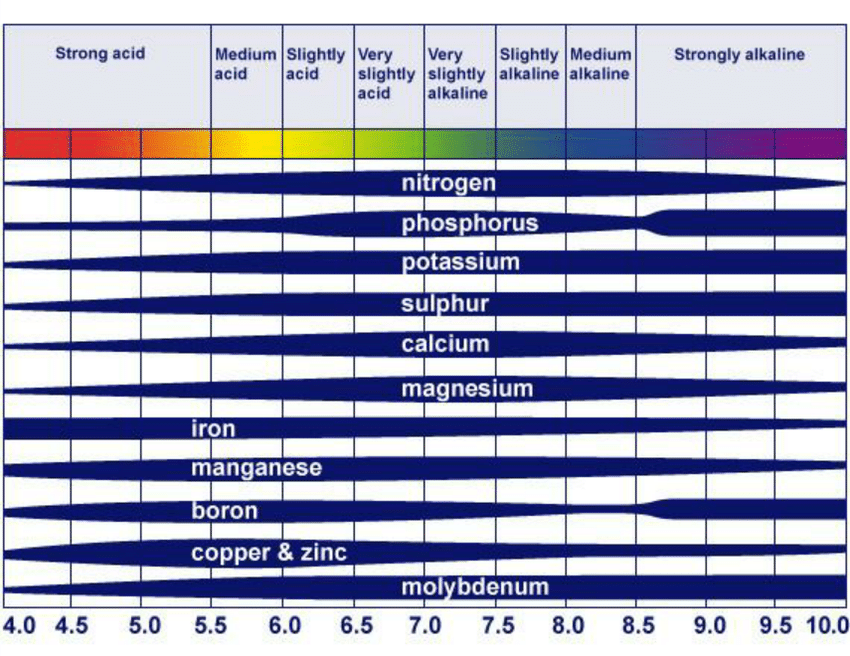 The pH levels for which plants can absorb all of the crucial elements for good growth