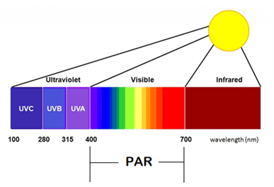 Sunlight has a range of wavelengths ranging from ultra violet UV to infra red IR and the wide range of visible colours