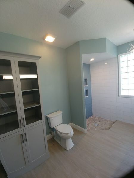 Bathroom with a blue-green wall, a toilet, a cabinet, and a shower area with light flooring.