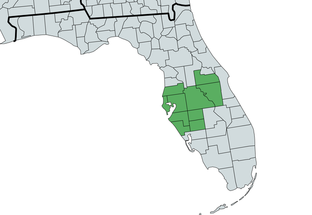 A map of florida with a green area in the middle