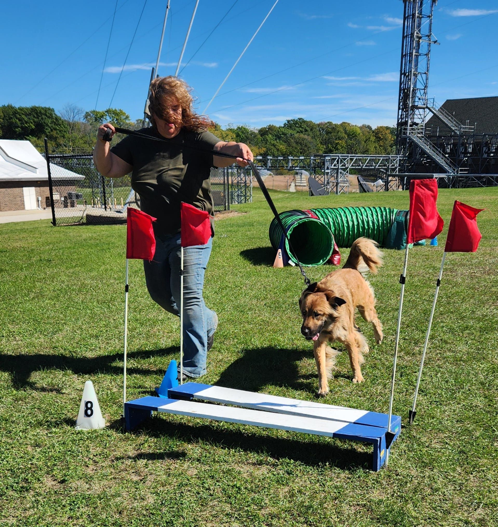 Woman running an agility course with a dog on a sunny day. The dog jumps over a hurdle as the woman guides it, with flags and a tunnel in the background.