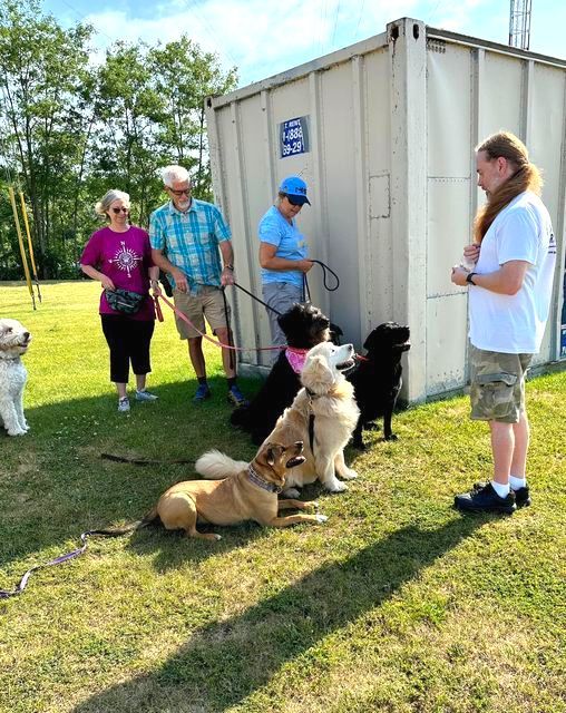 A group of people with several dogs on leashes stand near a container outside on a grassy field.