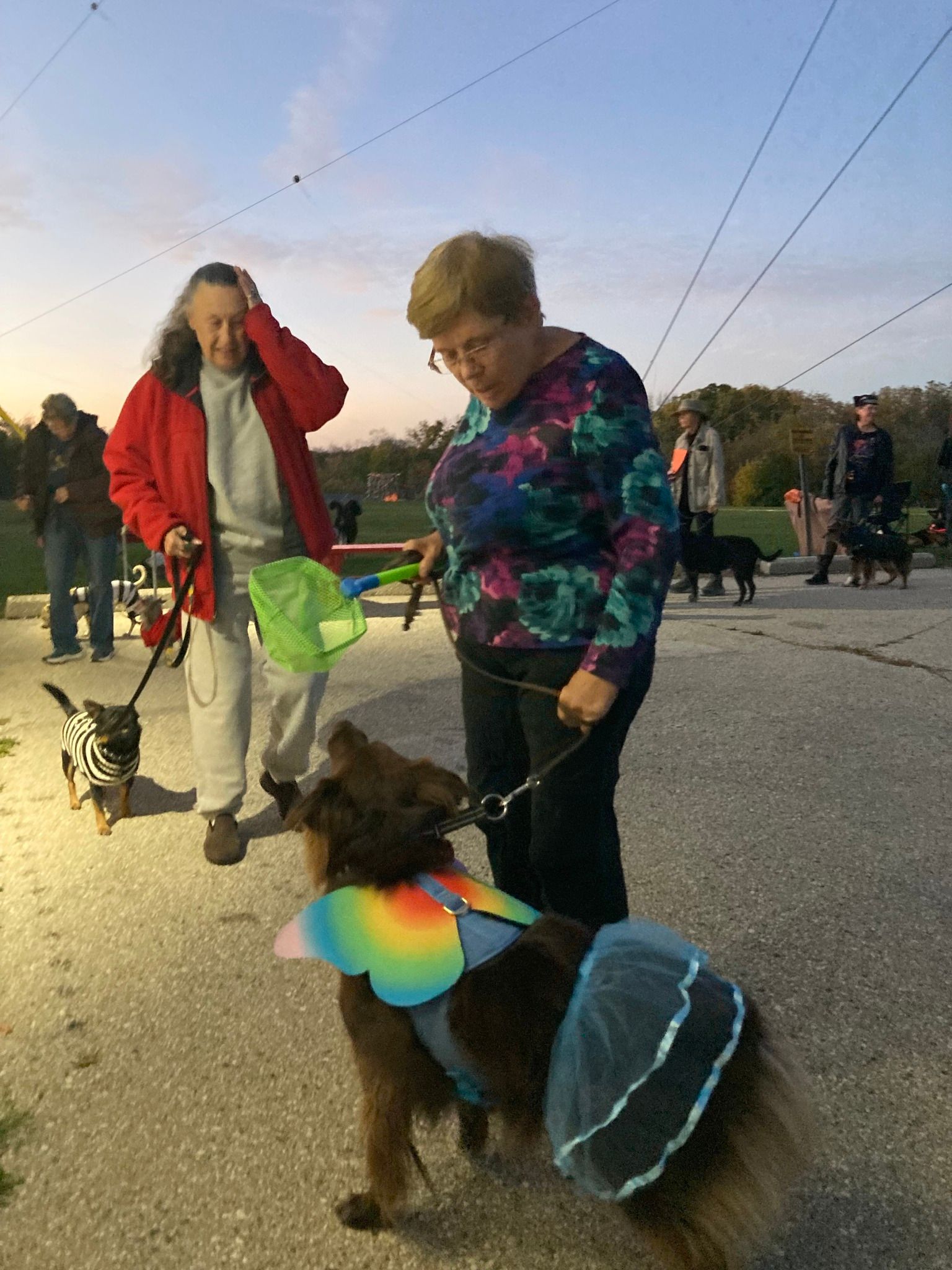 Dogs and people dressed for Halloween