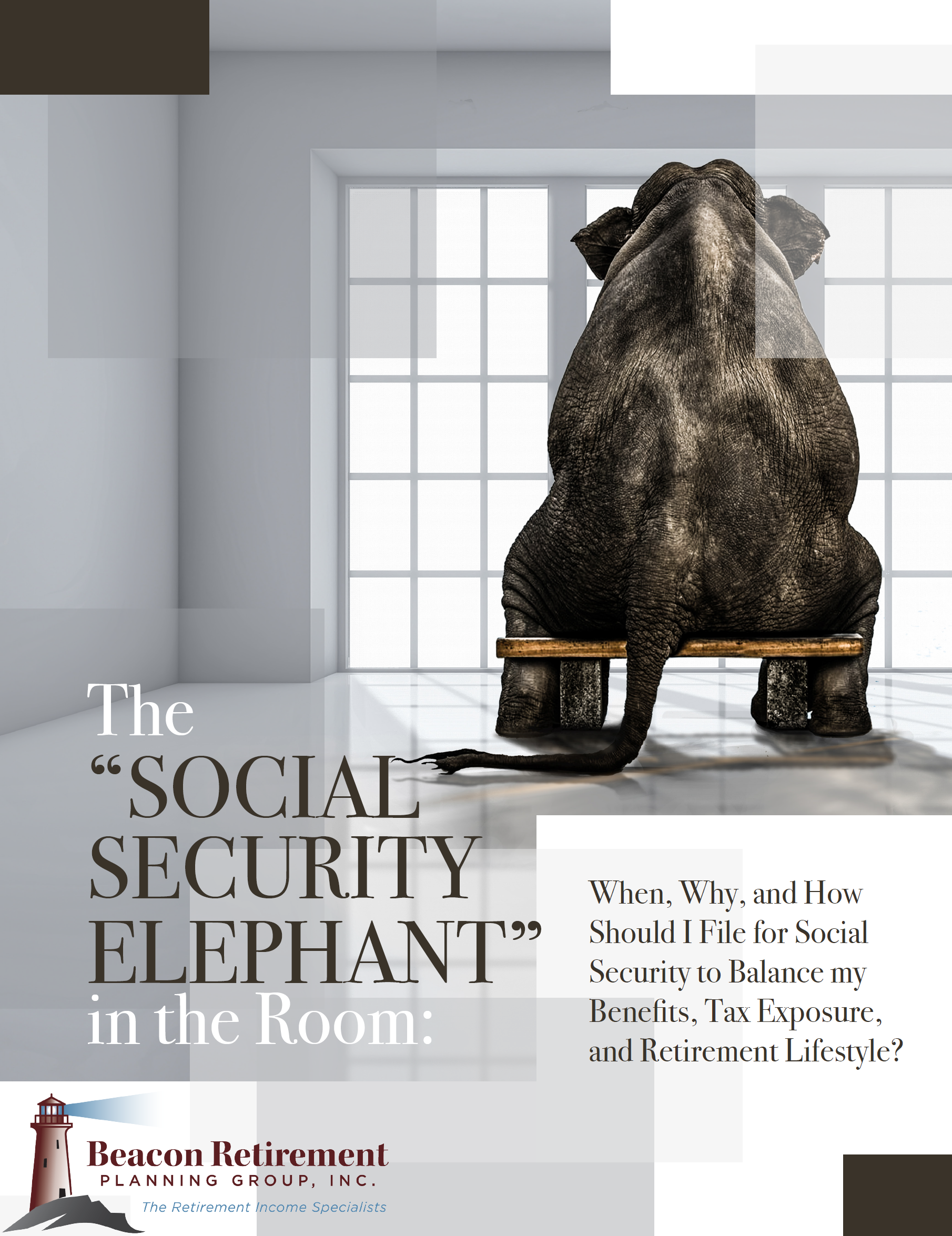 The Social Security Elephant in the Room