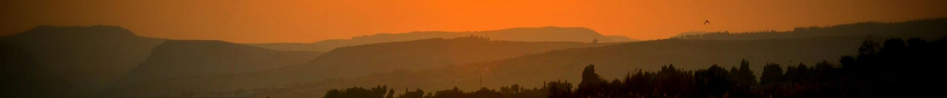 Blurred landscape with orange sky, silhouetted mountains, and dark trees.