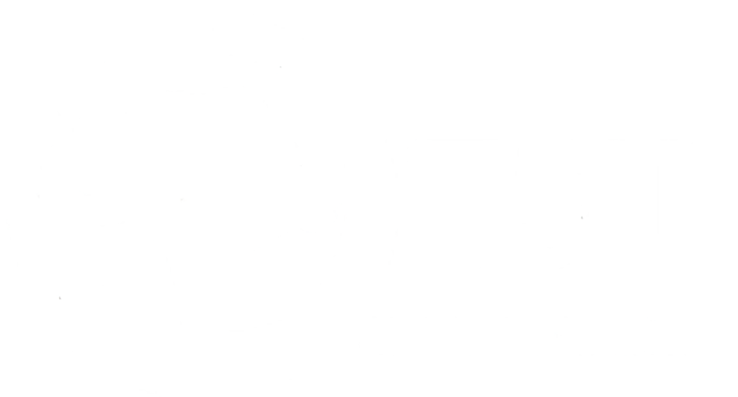 Business Logo | TST Mechanic Services