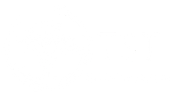 Business Logo | TST Mechanic Services