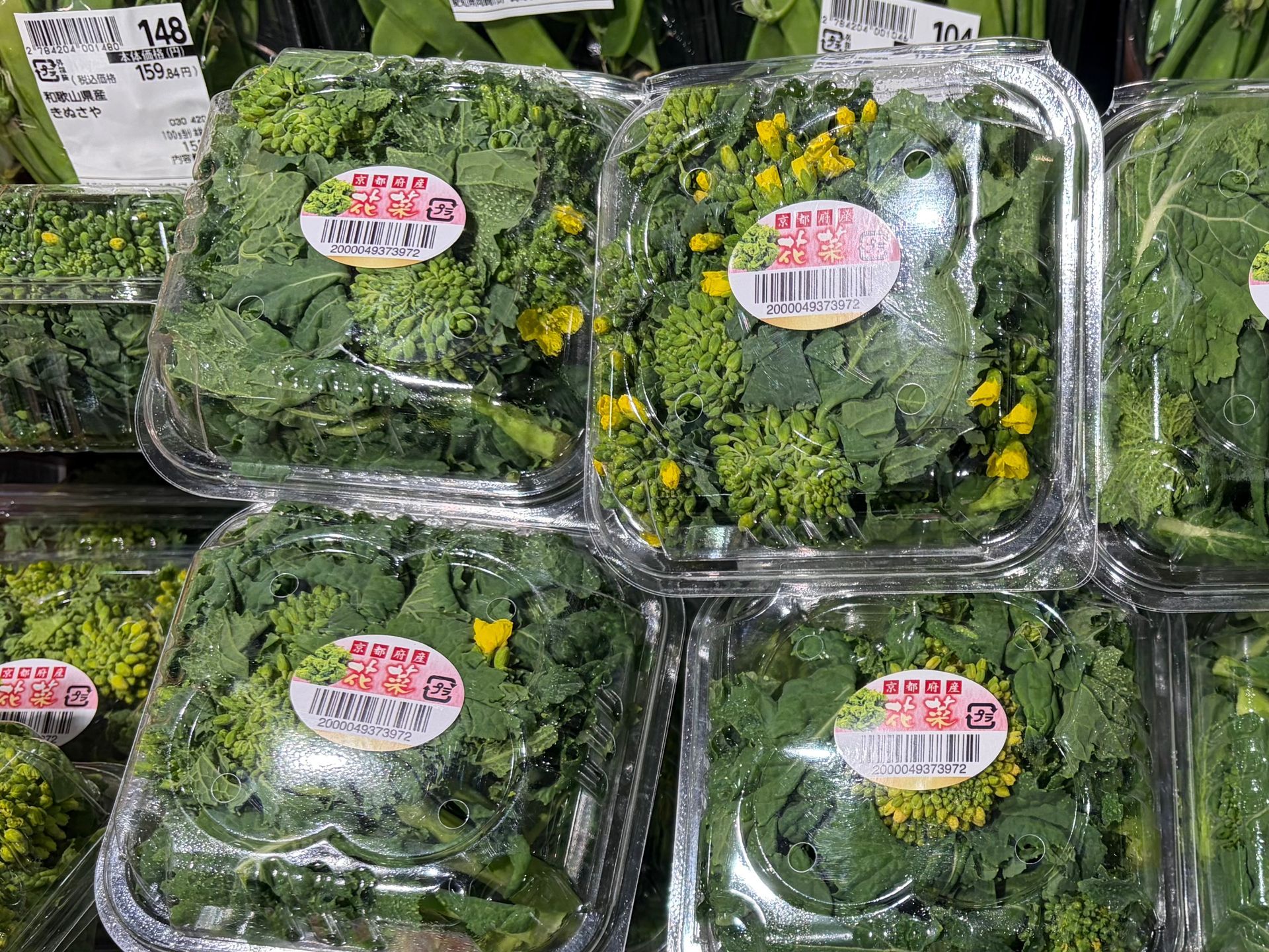 Na no hana, rapę seed edible blossom, leafs and stem