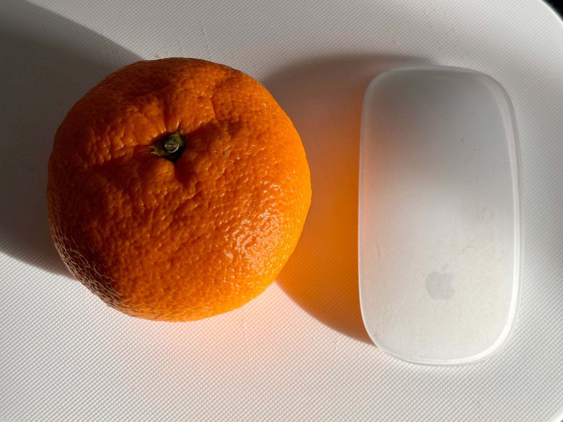 mandarin orange with apple mouse to show size