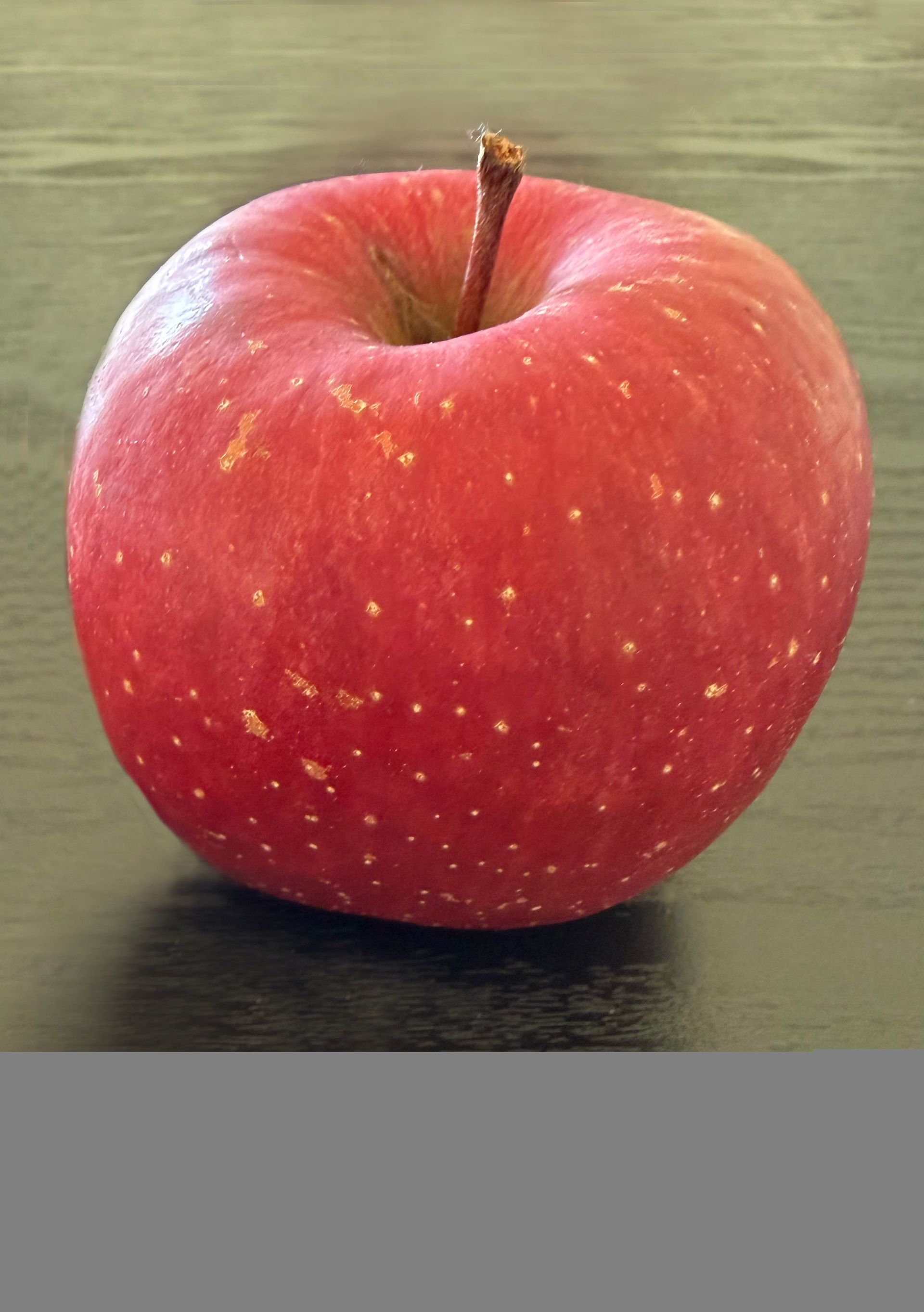 huge fuji apple