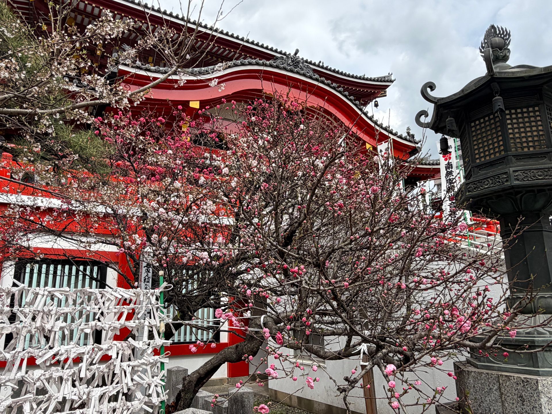 Nagoya Osu Kannon temple with sakura