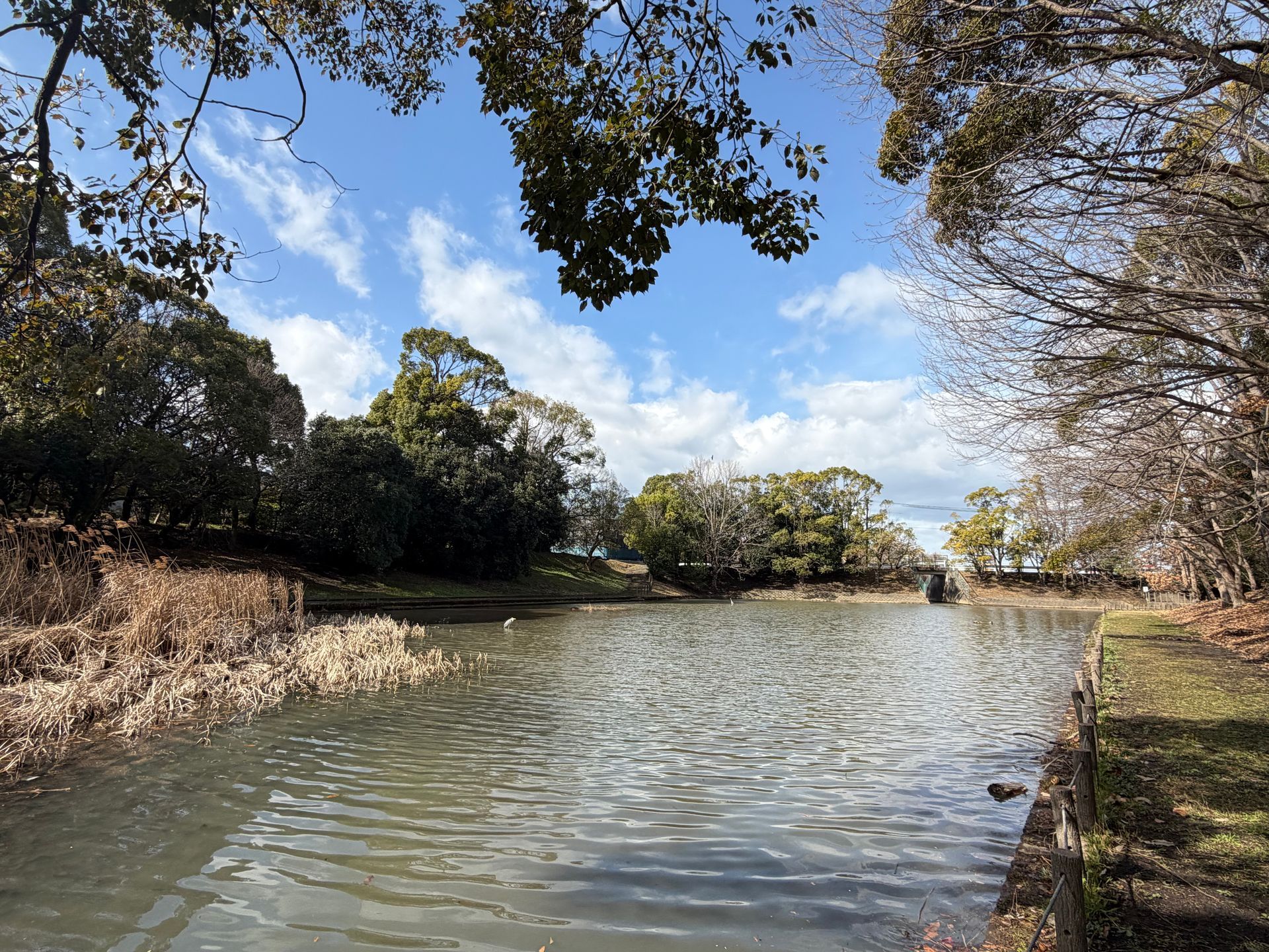 artificiall lake in early morning sun in Okazaki