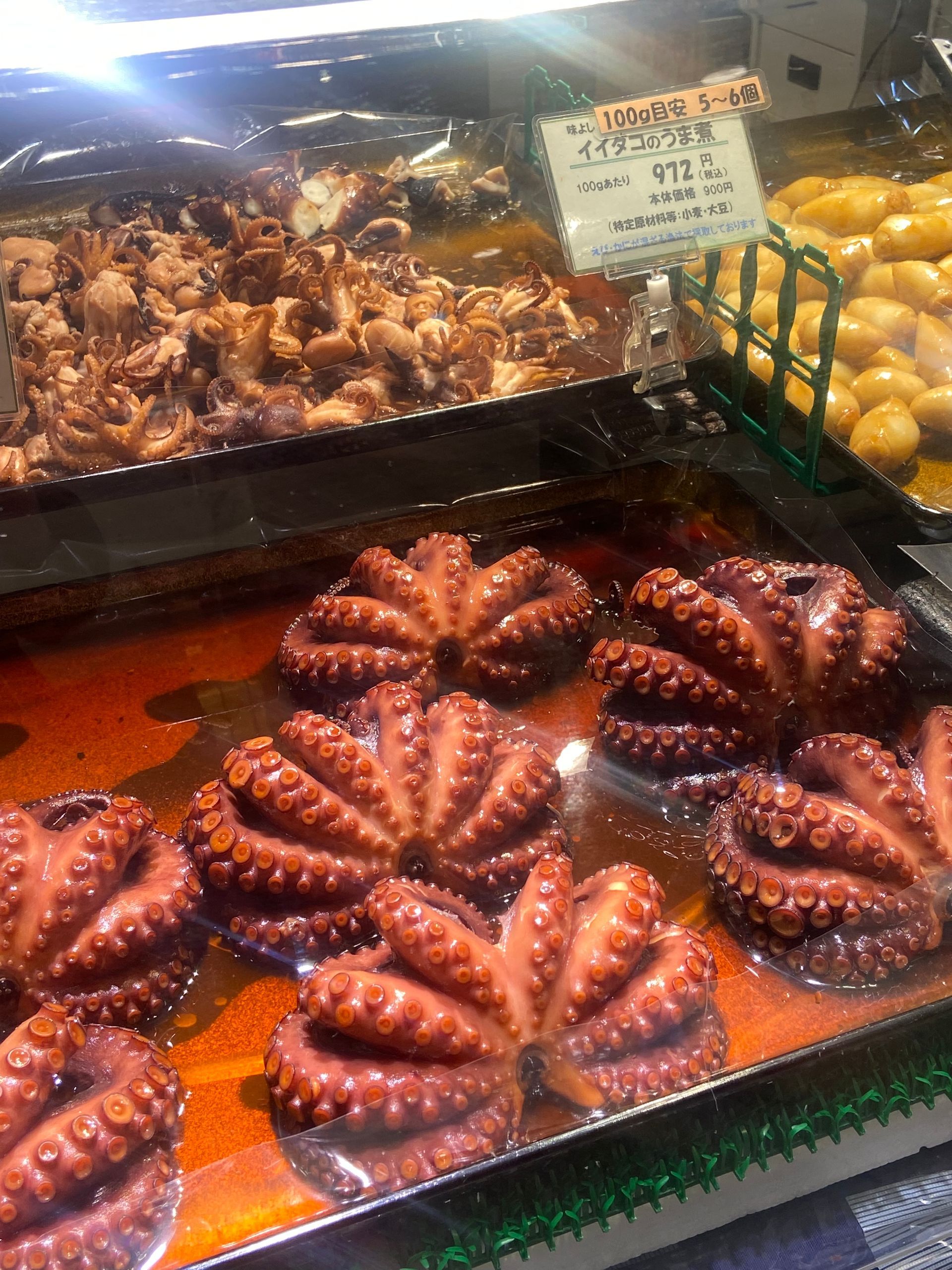 tako, tentakels van octopus