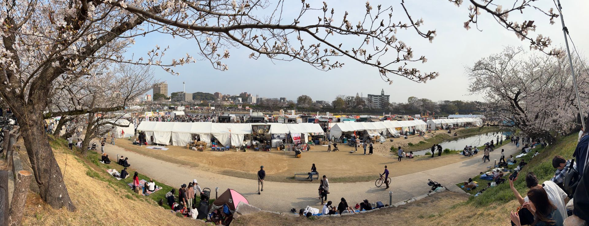 Sakura matsuri Okazaki castle