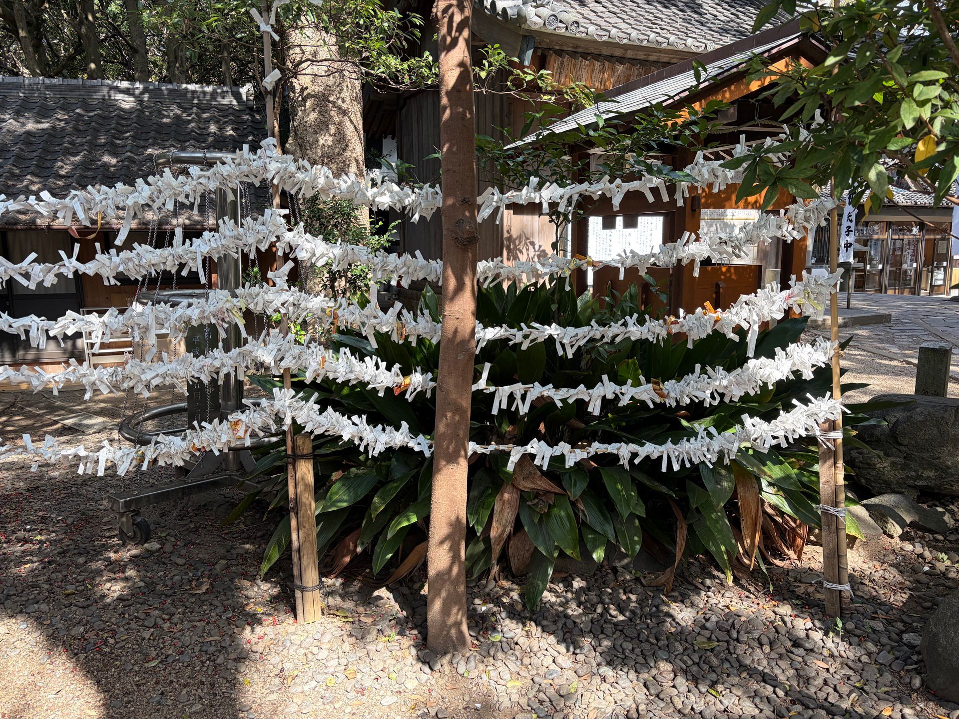 omikuji Yaotomi shrine Gamagori