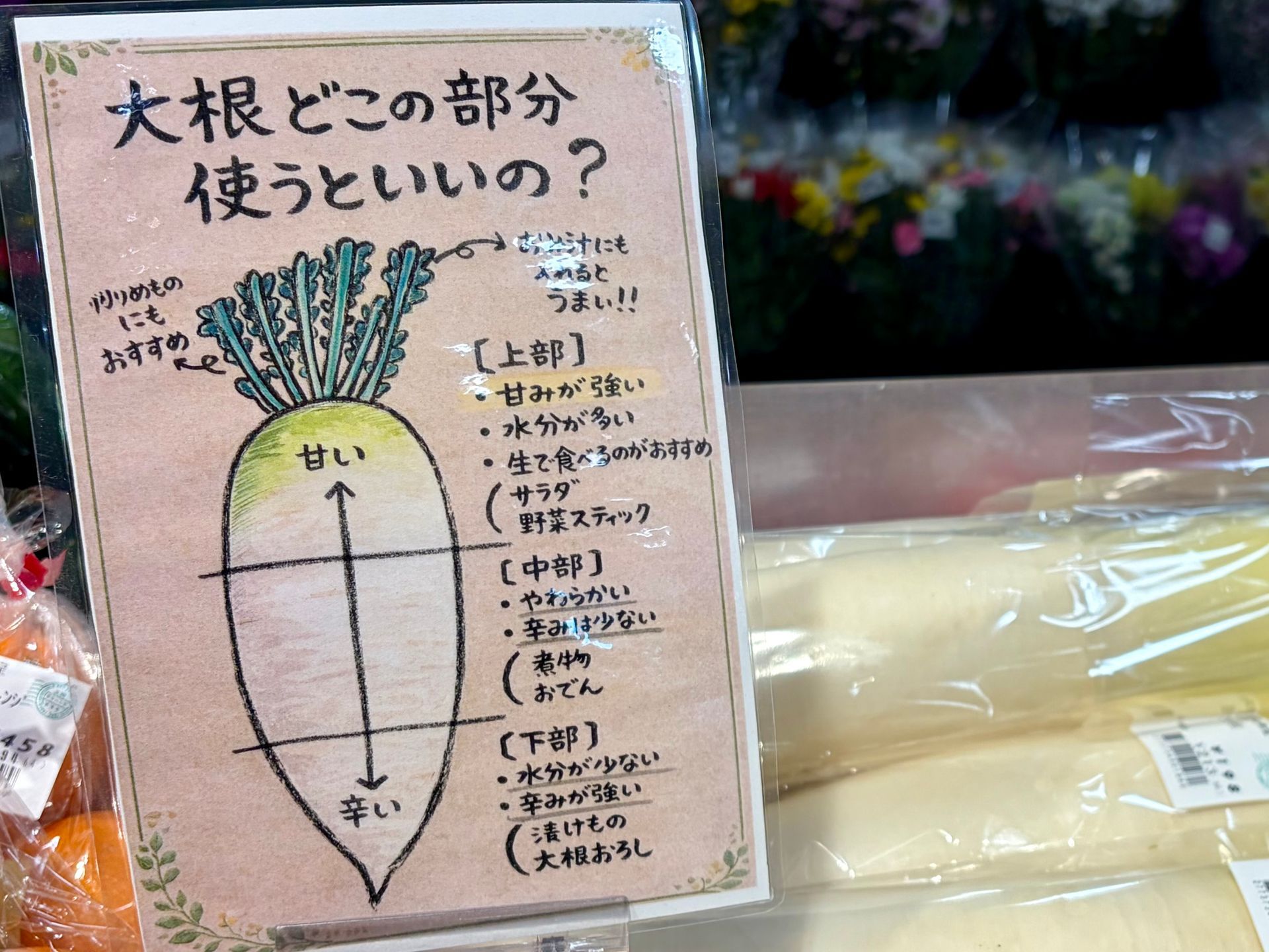 daikon image with what to cook with what part