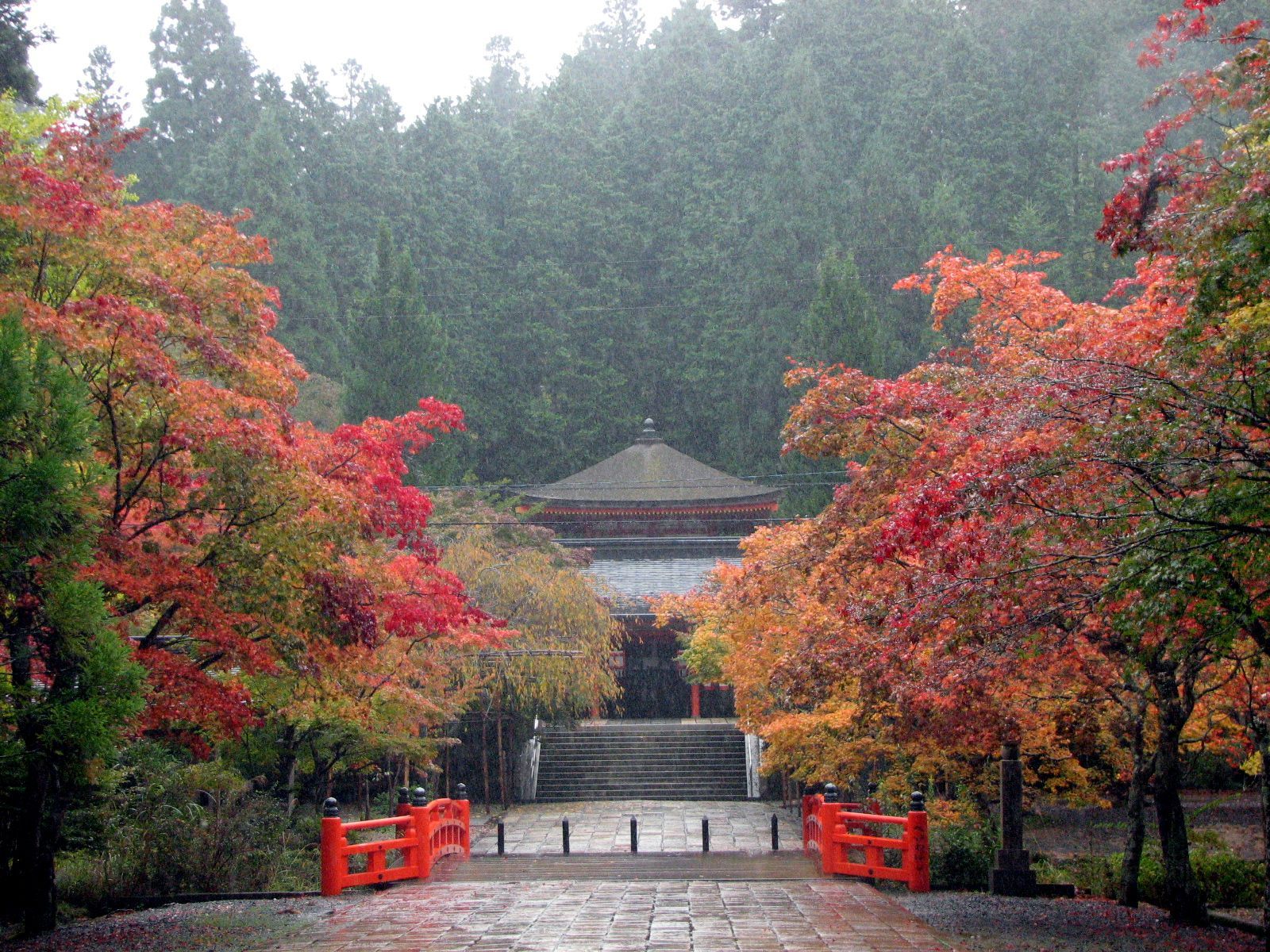 Koyasan, shukubo, tempels, vegetarisch, tempelverblijf, Okunoin, Kobo Daishi, Kukai