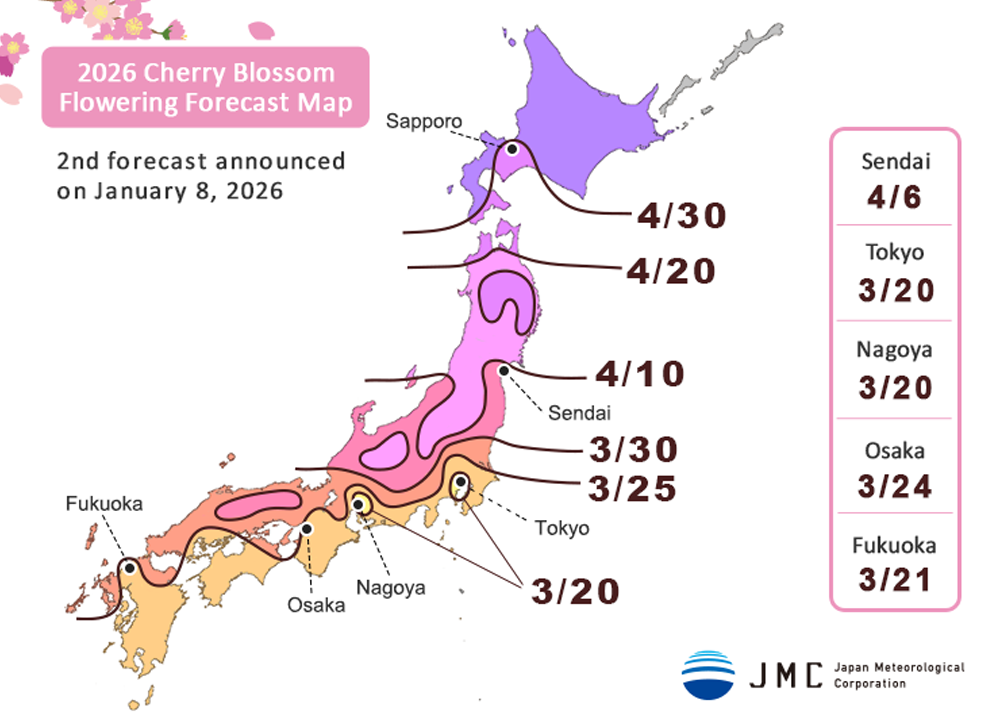 cherry blossom forecast