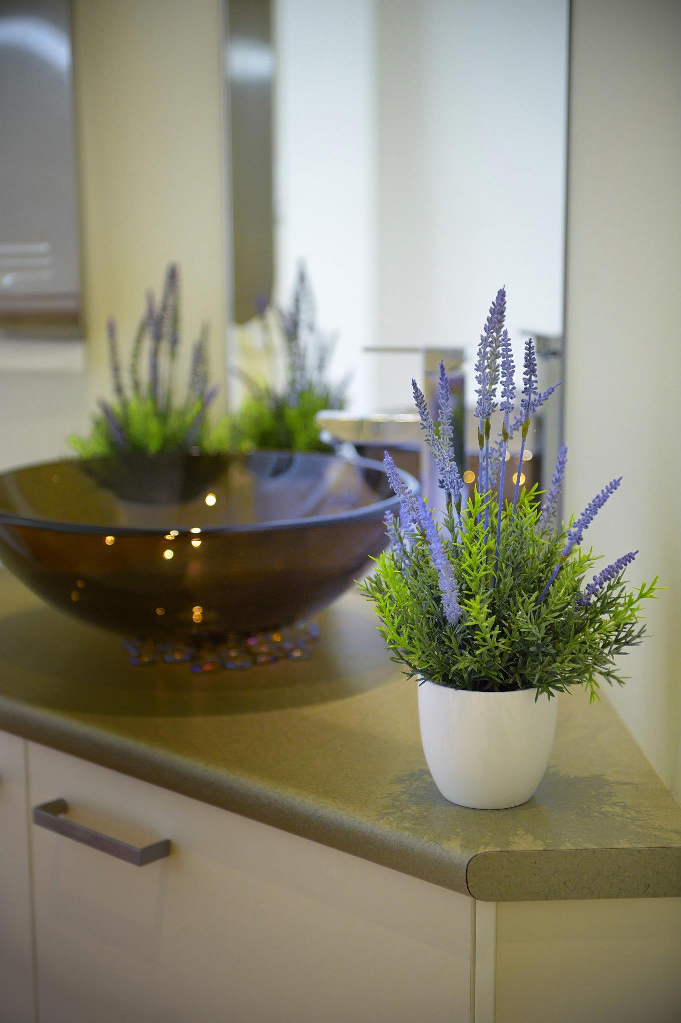 Plant in a Small Vase — Morningside, QLD — Morningside 621 Dental Surgery