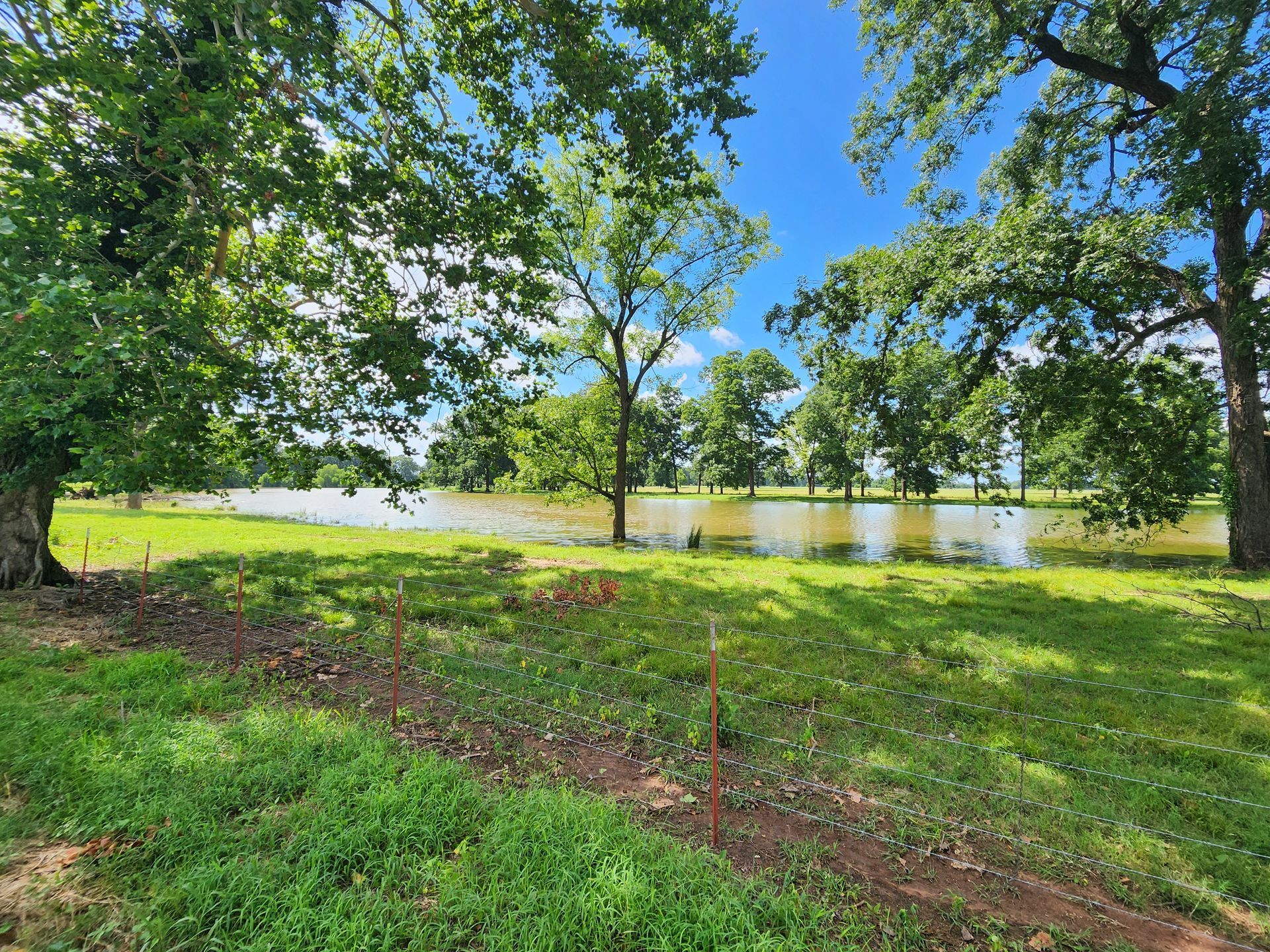 A large grassy field with trees and a lake in the background.