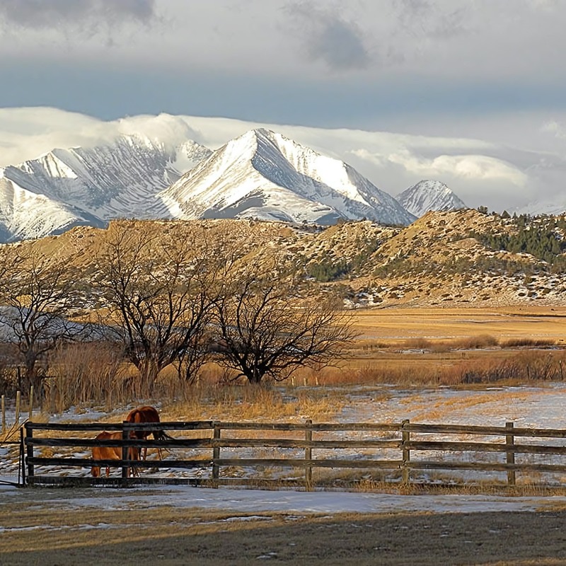 A horse in a fenced in area with mountains in the background