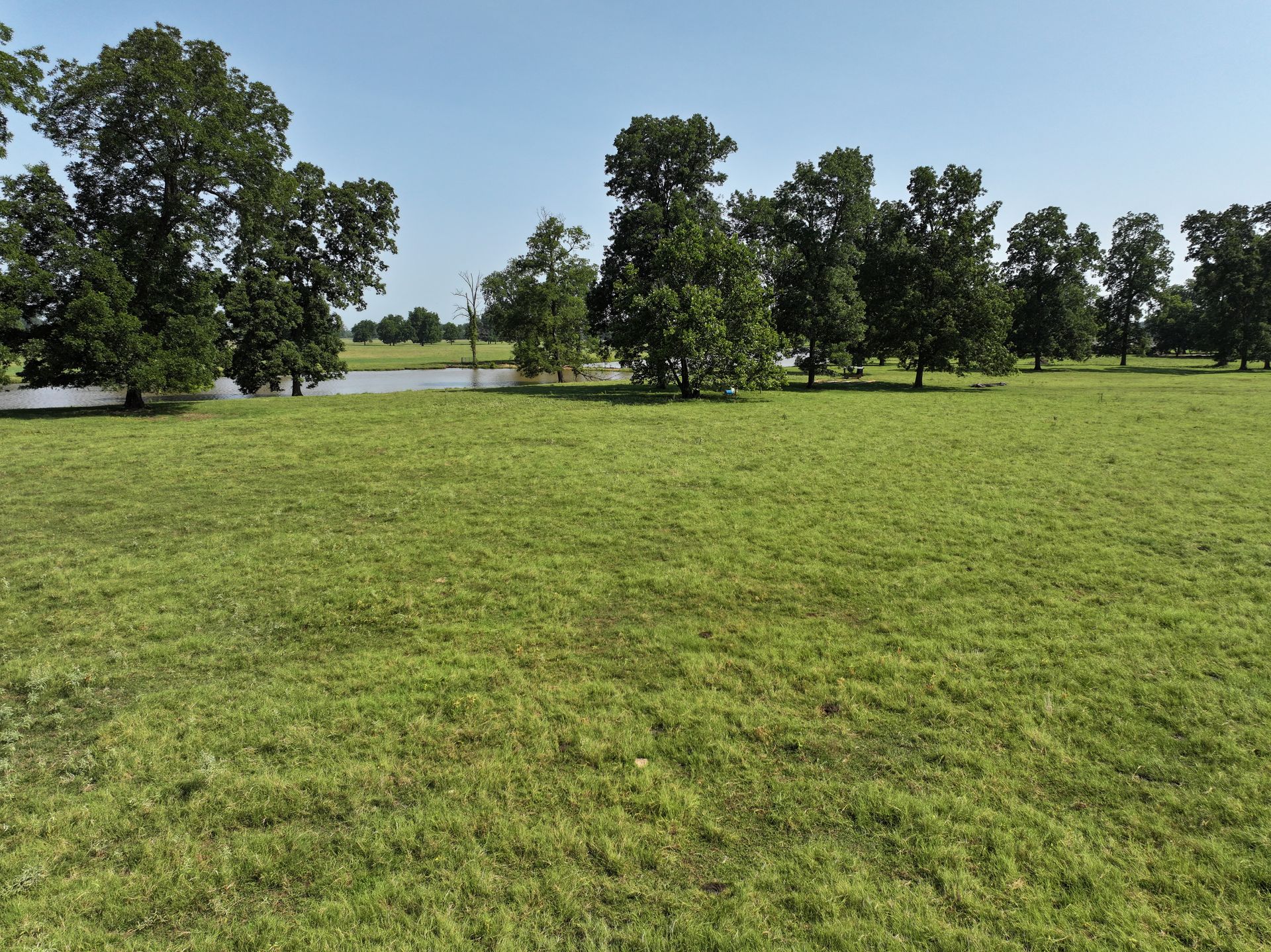 A lush green field with trees and a river in the background