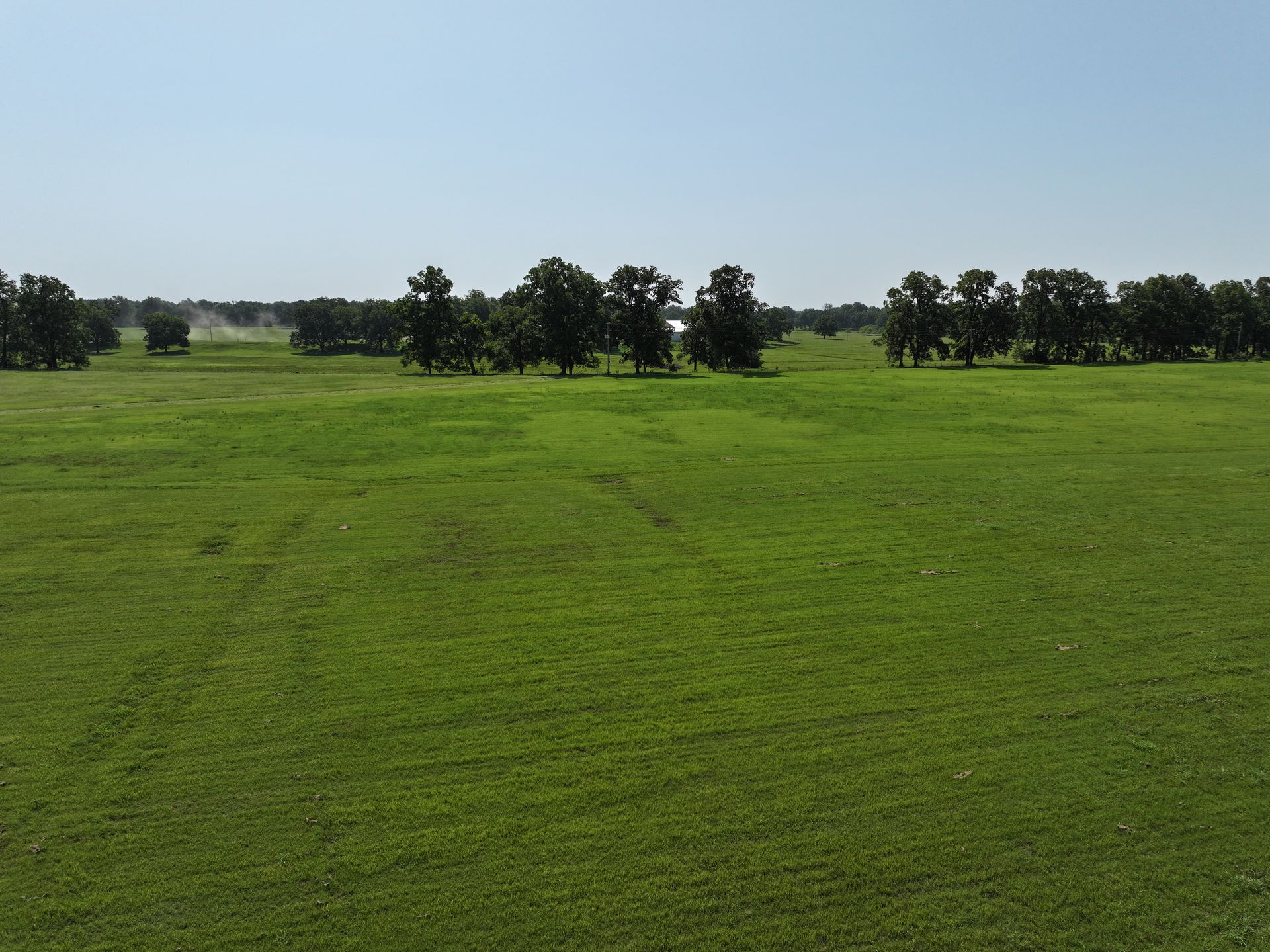 A lush green field with trees in the background